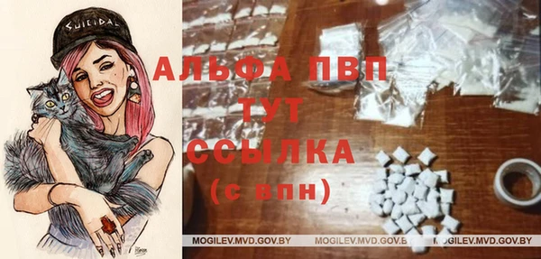 ECSTASY Алексеевка