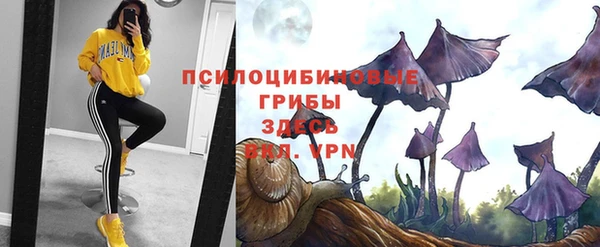 сатива Алексин