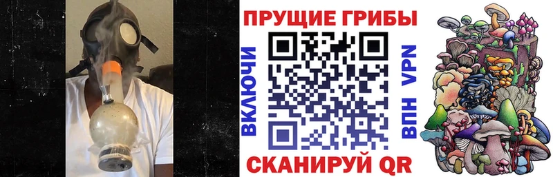 гидра ТОР  darknet официальный сайт  Псилоцибиновые грибы мицелий  что такое   Сибай 