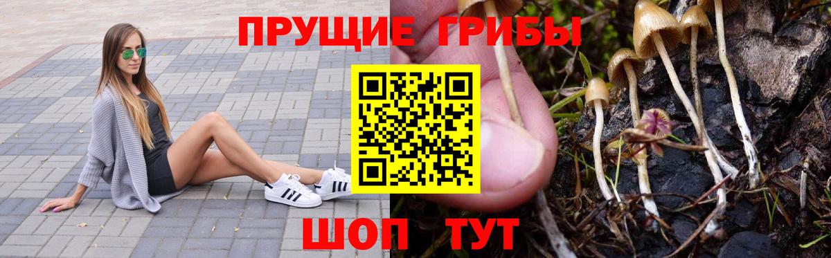 Галлюциногенные грибы MAGIC MUSHROOMS  Вход с VPN  Галлюциногенные грибы Magic Shrooms  дарнет шоп  Сибай 